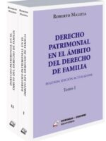 Derecho patrimonial en el ámbito del Derecho de Familia  (2 Tomos)