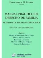 Manual Práctico de Derecho de Familia