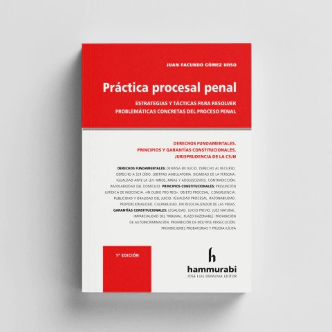 Práctica Procesal Penal -Estrategias de Litigio-