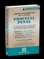 Guía de Estudio Procesal Penal -2025-