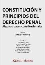 Constitución y Principios del Derecho Penal 1ª Edición